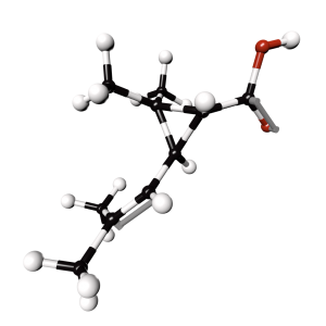 Acide Chrysanthémique