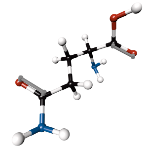 Glutamine