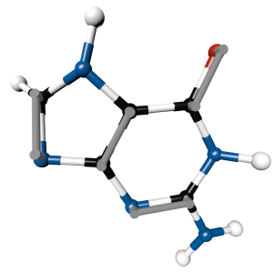 Guanine