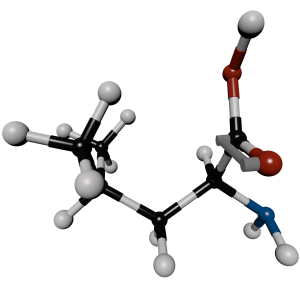 Leucine