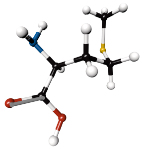 Méthionine