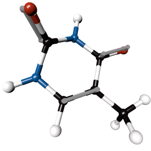 Thymine