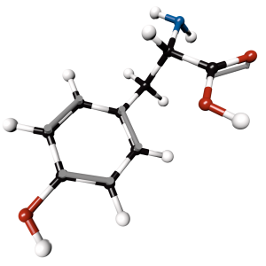 Tyrosine