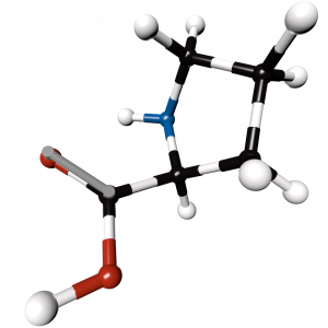 Proline