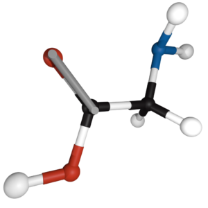Glycine